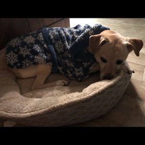 Meet your Posher, Lisa